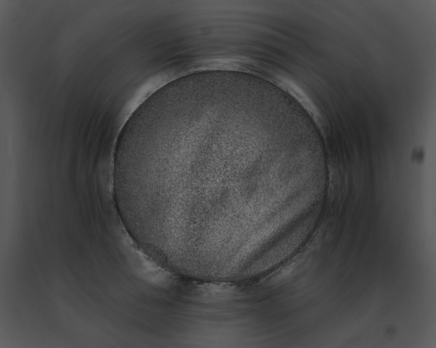 X0000091520994200708311245