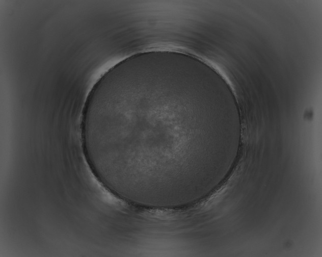 X0000091520995200708311245