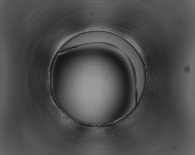 X0000091520996200708311245