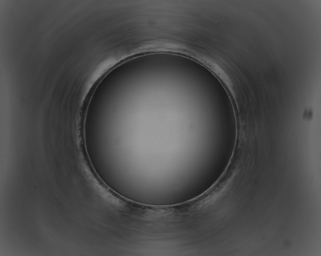 X0000091520997200708311244