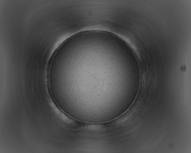 X0000091520998200708311244