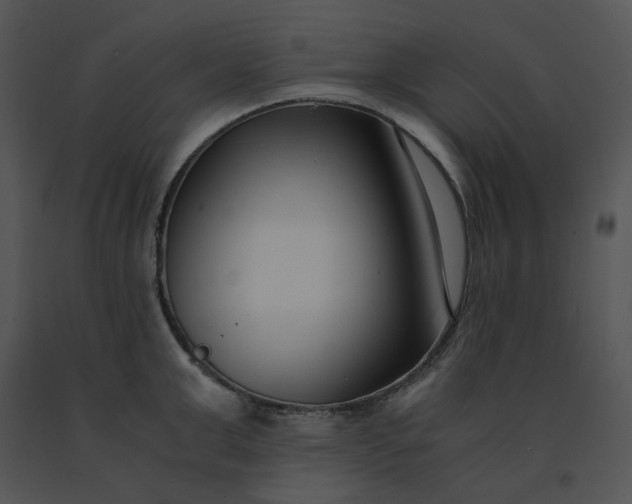 X0000091520999200708311244