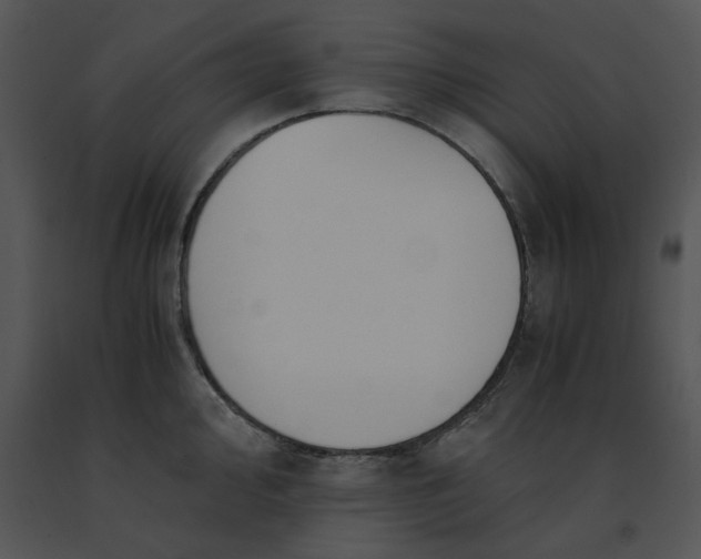 X0000091521000200708311244