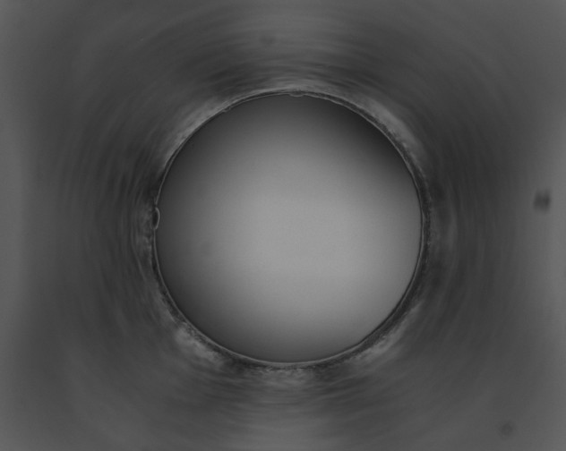 X0000091521001200708311244