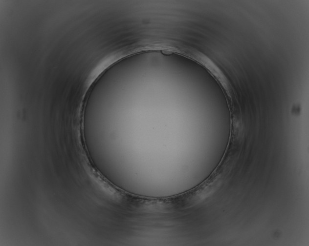 X0000091521002200708311244