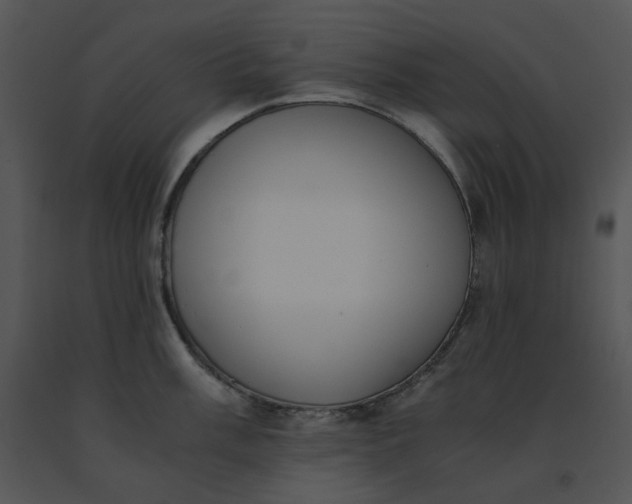 X0000091521003200708311244