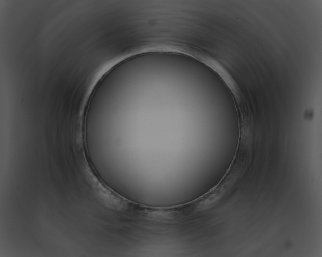 X0000091521004200708311244