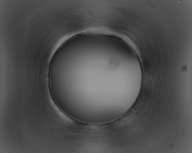 X0000091521005200708311244