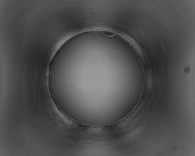 X0000091521006200708311244