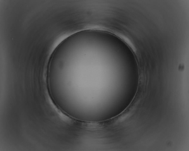 X0000091521007200708311244