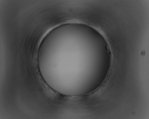 X0000091521008200708311244