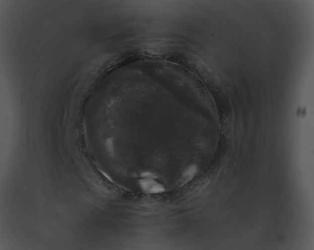 X0000091521009200708311244