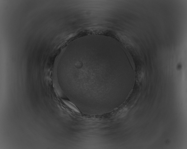 X0000091521010200708311244