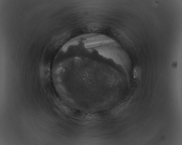 X0000091521011200708311244