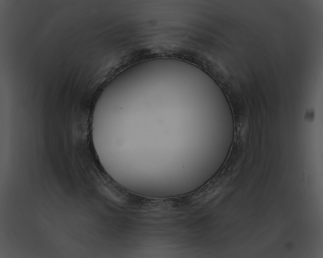 X0000091521012200708311244