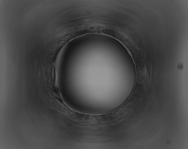 X0000091521013200708311244