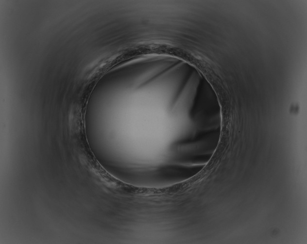 X0000091521014200708311244