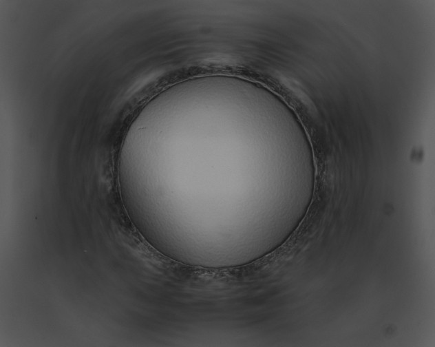 X0000091521015200708311244