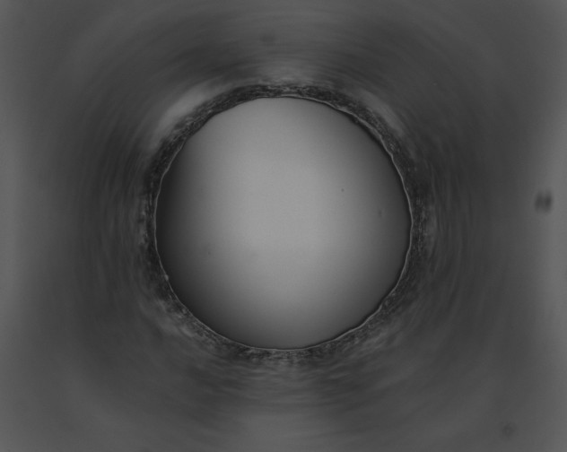 X0000091521016200708311244