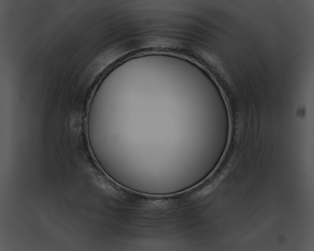 X0000091521017200708311244