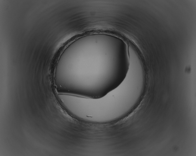 X0000091521018200708311244