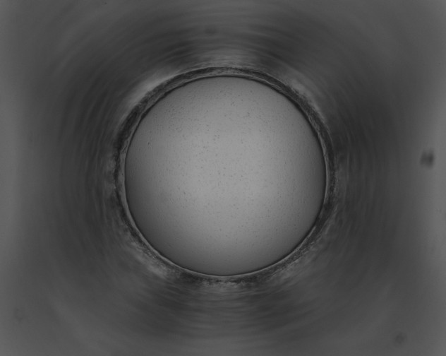 X0000091521019200708311244