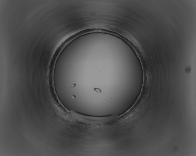 X0000091521020200708311244