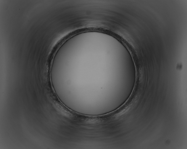 X0000091521021200708311244