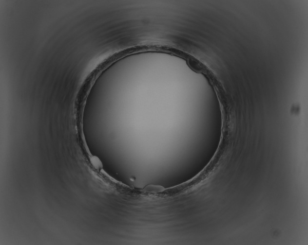 X0000091521022200708311244