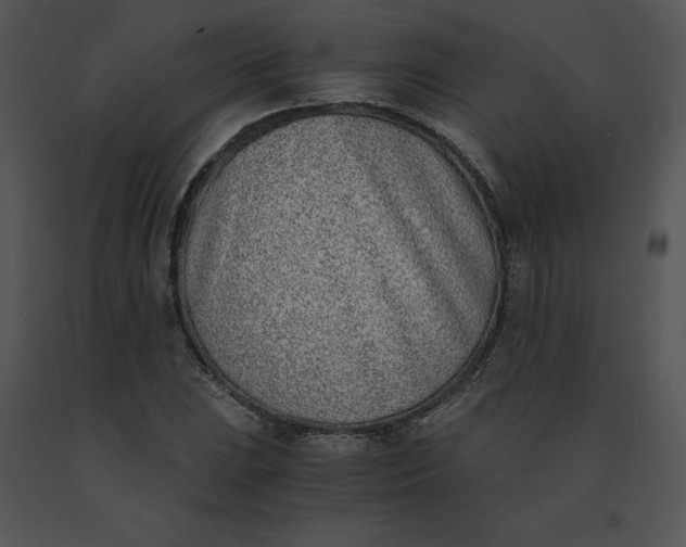 X0000091521023200708311244