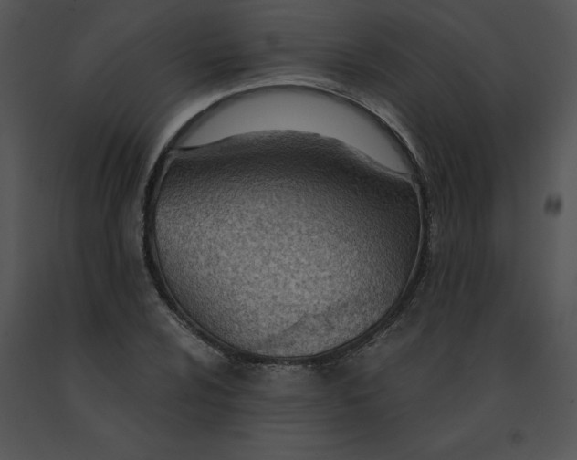 X0000091521024200708311244