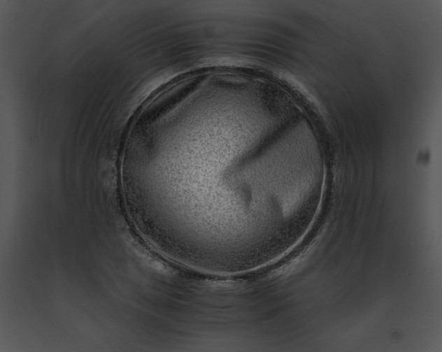 X0000091521025200708311244