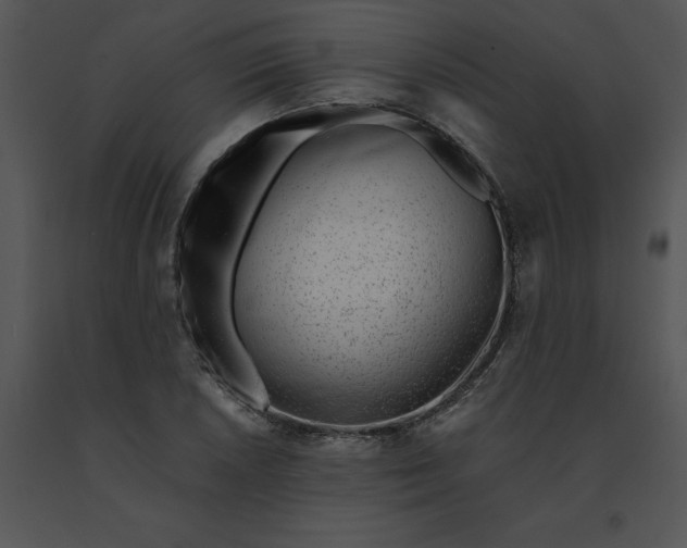 X0000091521026200708311244