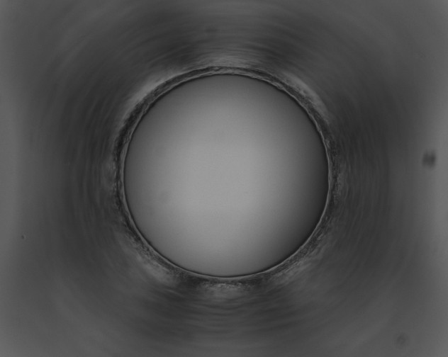 X0000091521027200708311244