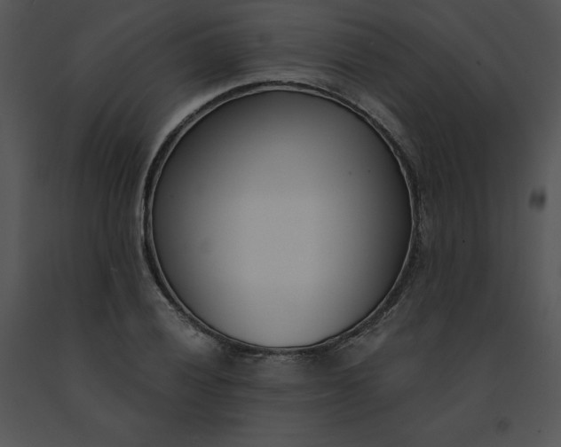 X0000091521028200708311244