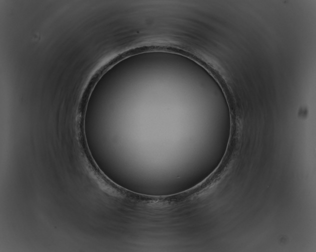 X0000091521029200708311244