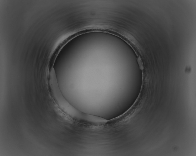 X0000091521030200708311244