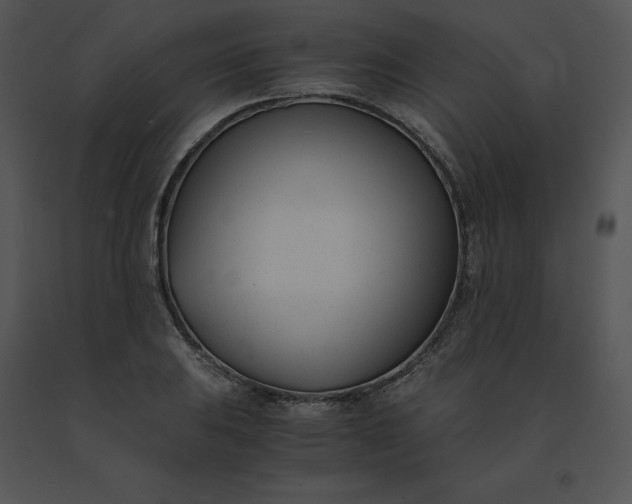 X0000091521031200708311244