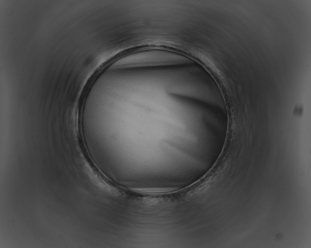 X0000091521032200708311244