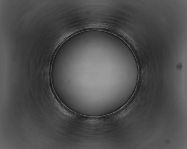 X0000091521033200708311244