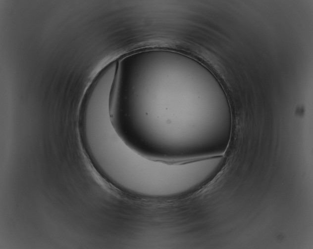 X0000091521034200708311244