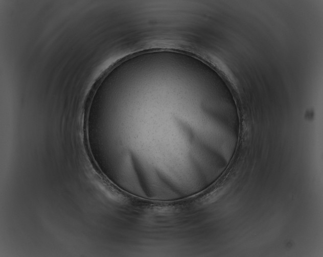 X0000091521035200708311244