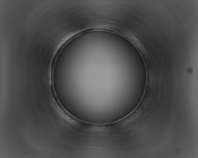 X0000091521036200708311244