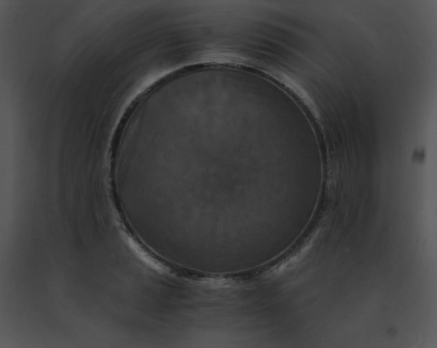 X0000091521037200708311244