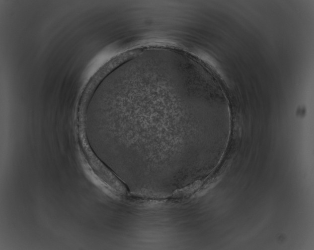 X0000091521038200708311244