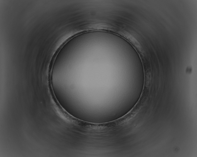 X0000091521039200708311244