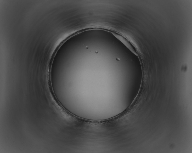 X0000091521040200708311244