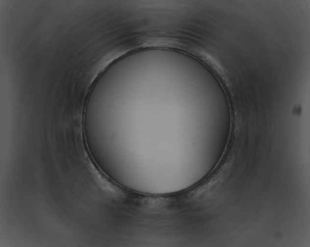 X0000091521041200708311244