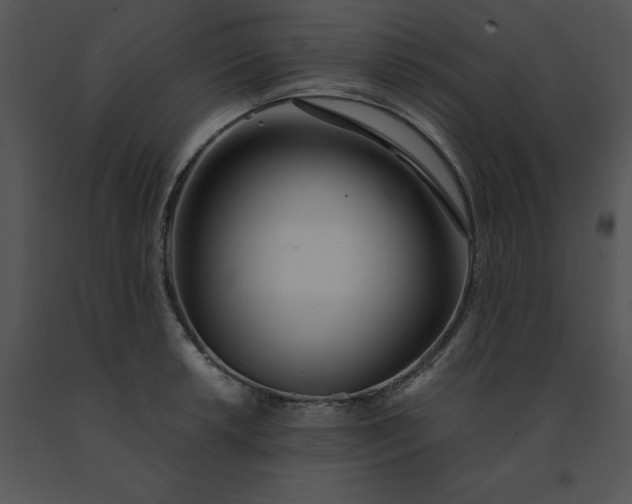 X0000091521042200708311244