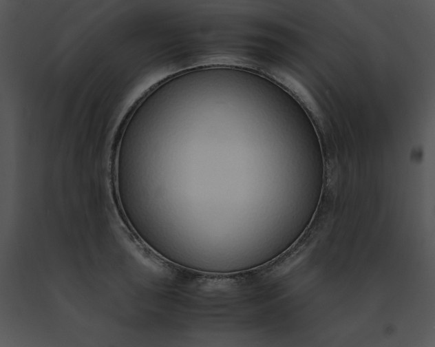 X0000091521043200708311244